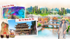 an-thi-truong-gia-gioi-phuong-hoang-co-tran - ảnh nhỏ  1